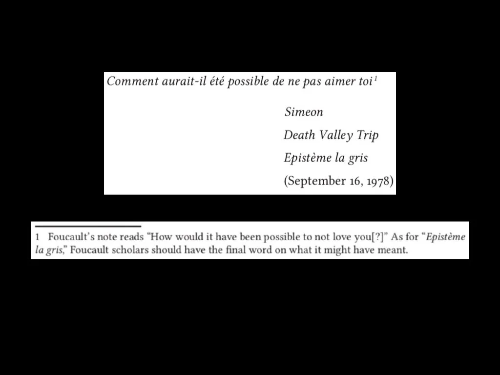 Foucault for web.012.jpeg