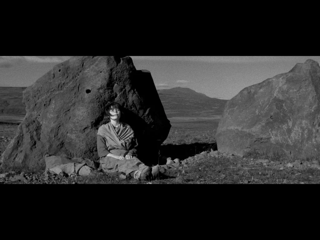 Ross Lipman_1 (Lecture).008.jpeg