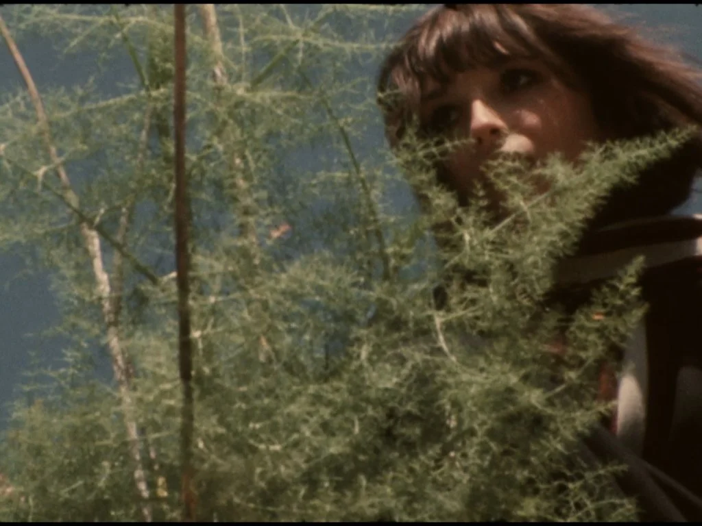 Ross Lipman_1 (Lecture).009.jpeg