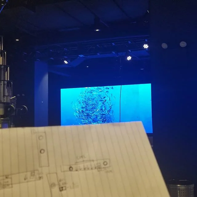 When you're working on repairing a lighting rig to whale-song #production #lighting #modernlighting