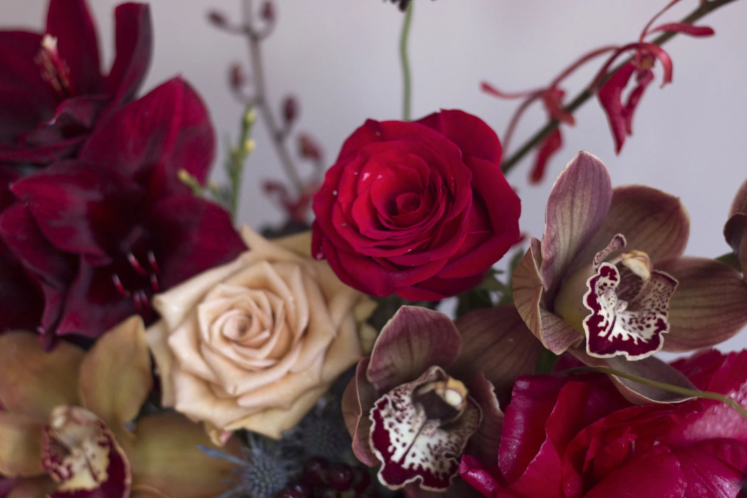 winter-bouq-close-up-inspo_32076738587_o-copy_46338280114_o.jpg