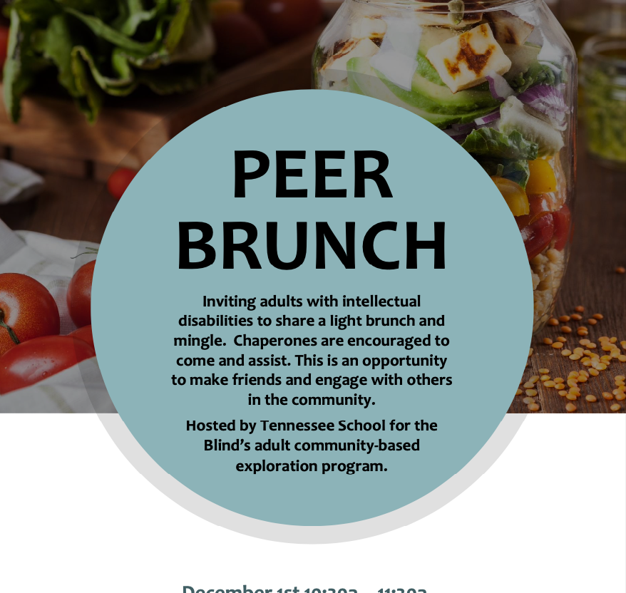 Donelson Library//TN School for the Blind: Peer Brunch