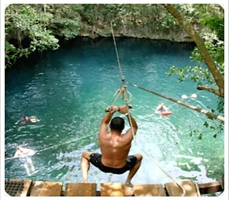 Selvatica 3.jpg