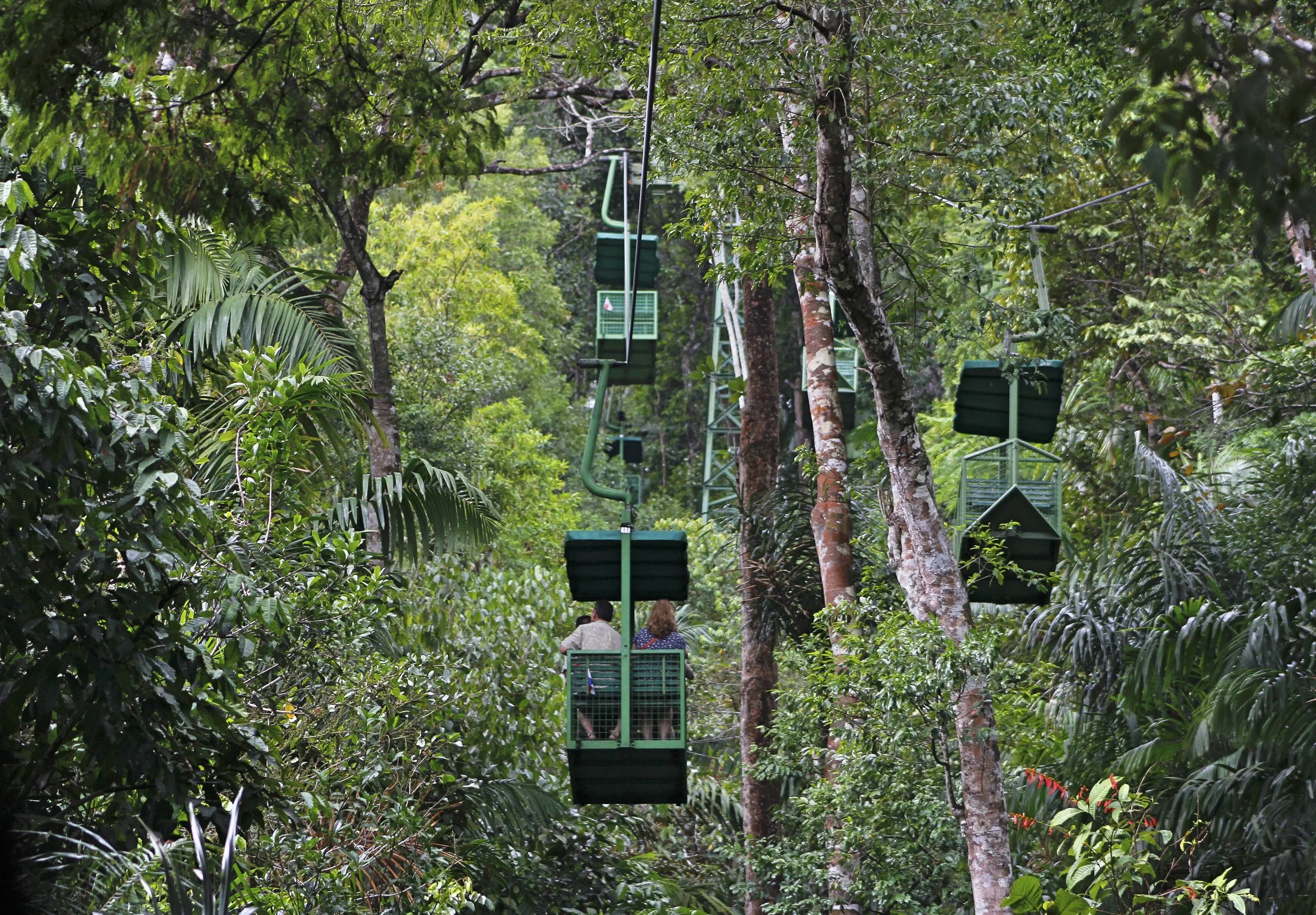 Aerial Tram Header.jpg
