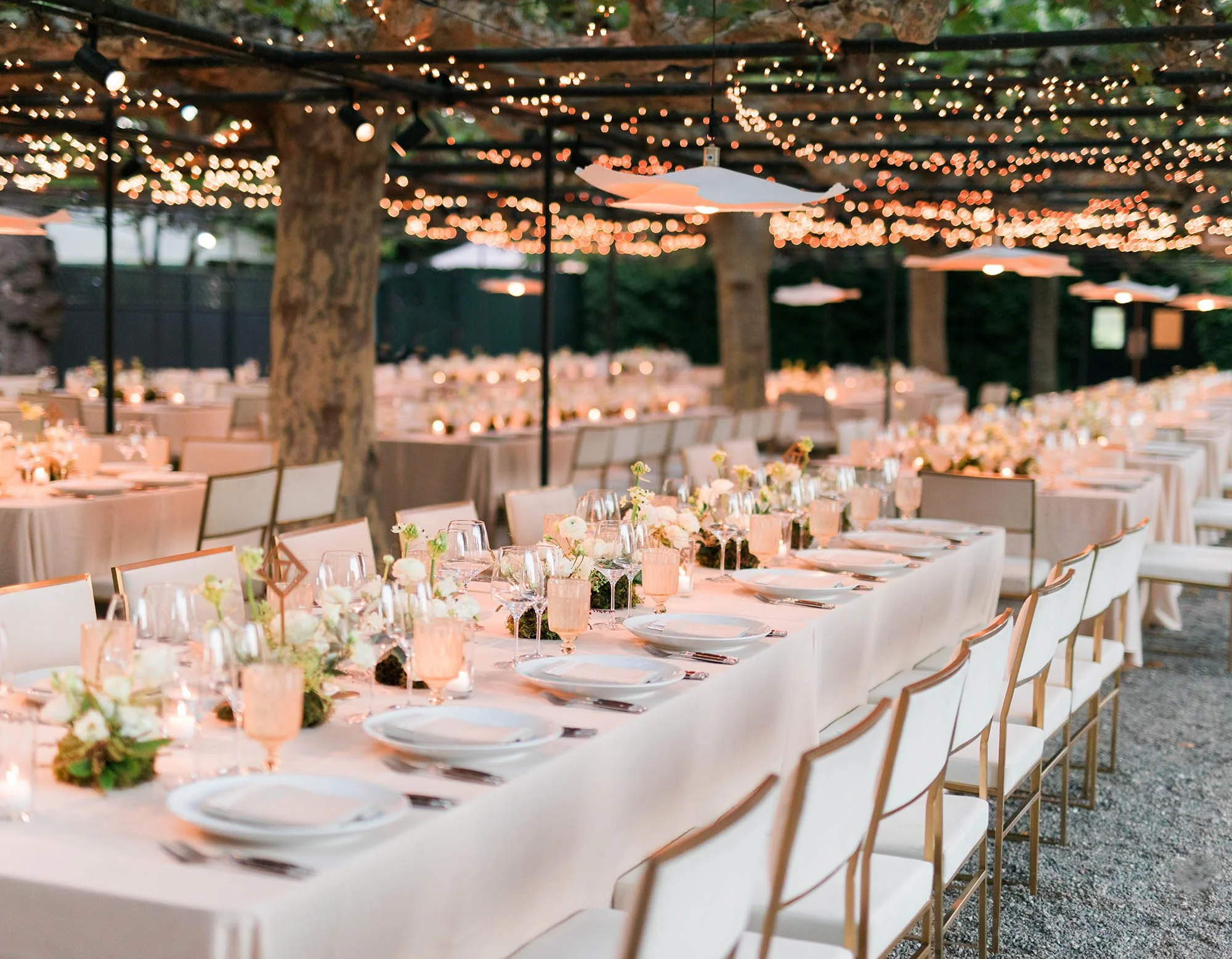 JBJ Pictures Terramar Corporate Event - Beaulieu Garden-185.jpg