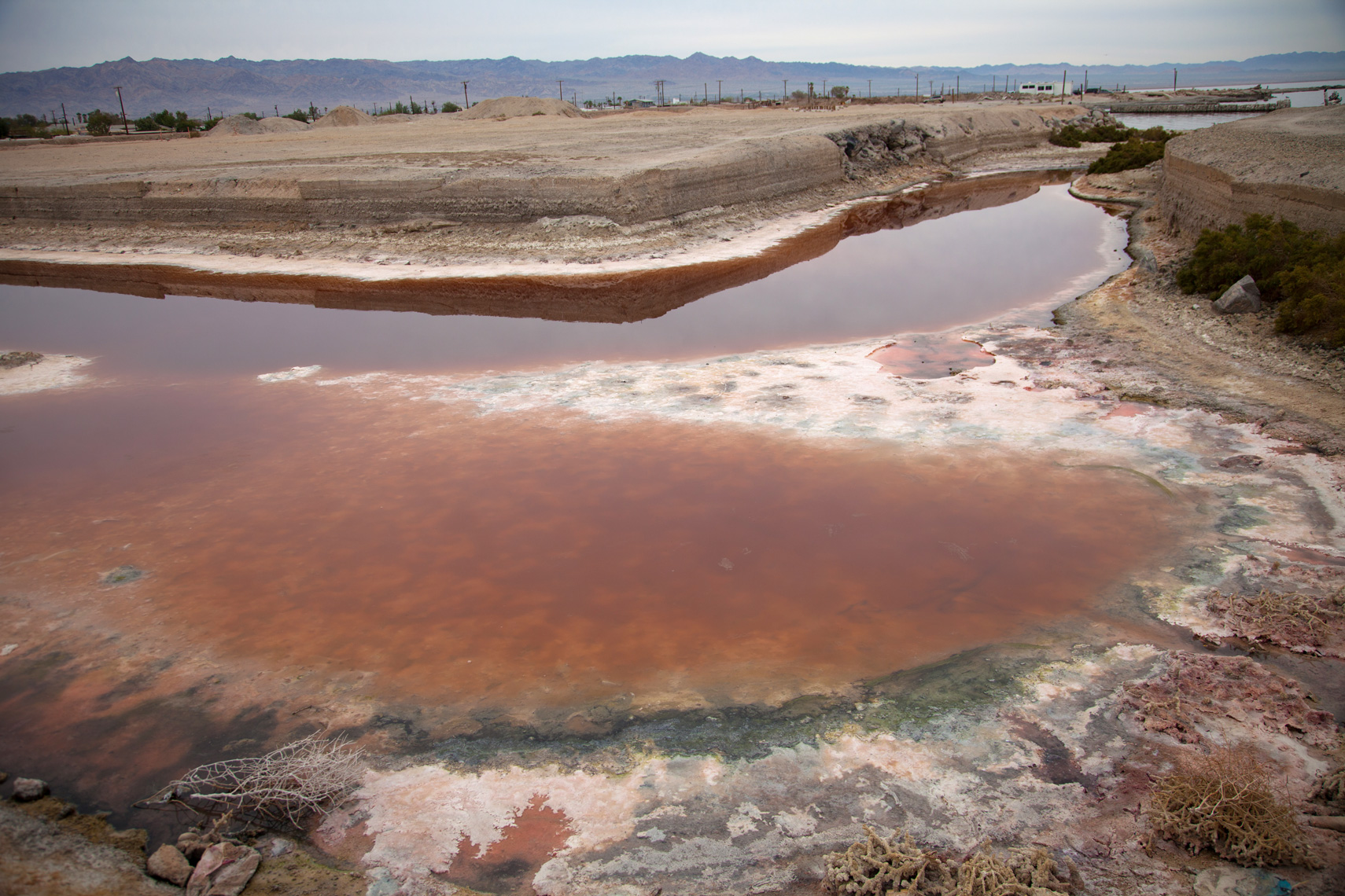 SaltonSea_075.jpg