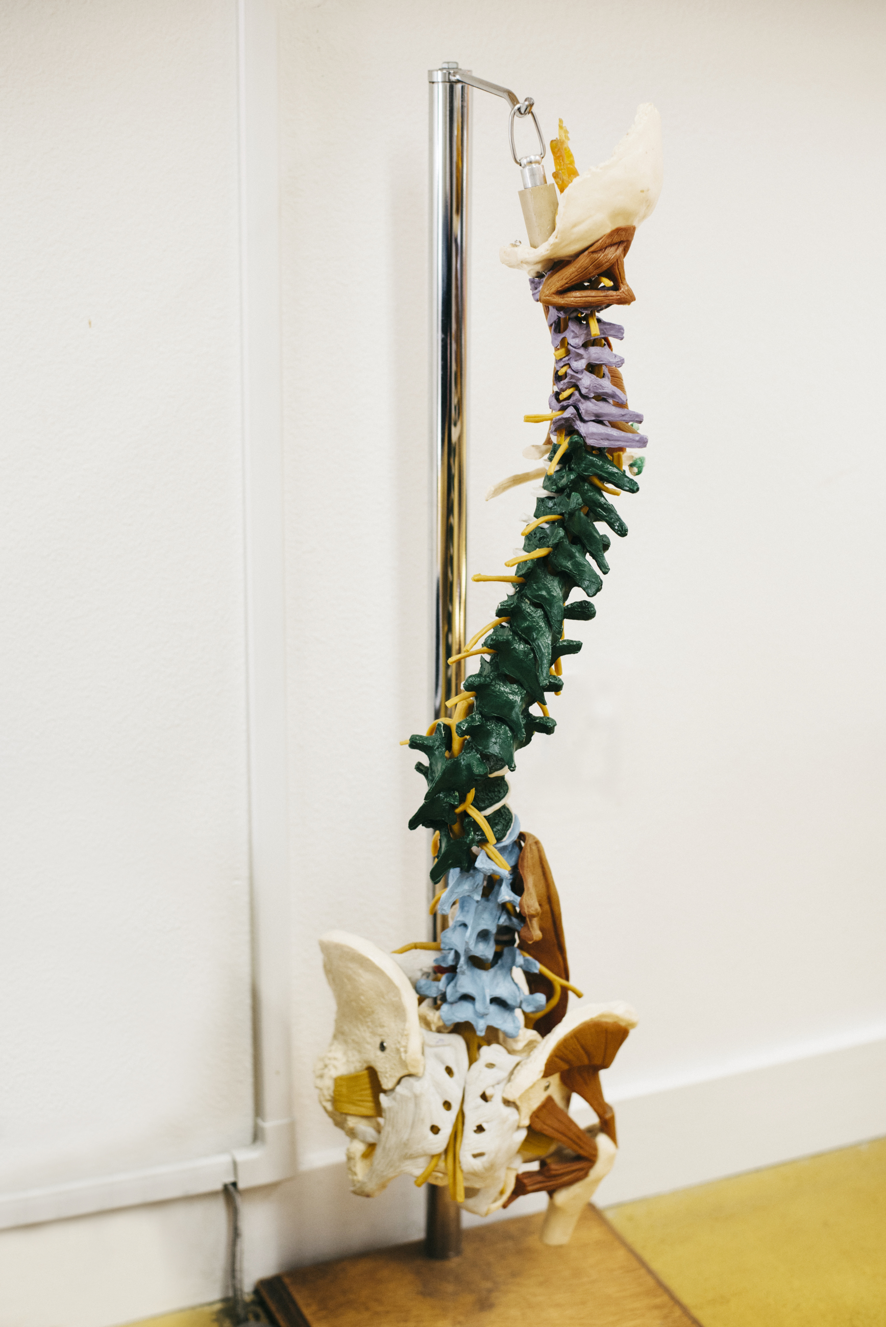 Welcome to our new website!