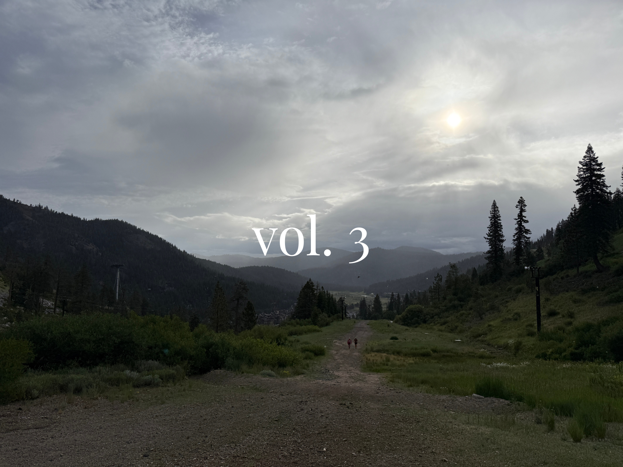 NEWSLETTER vol. 3