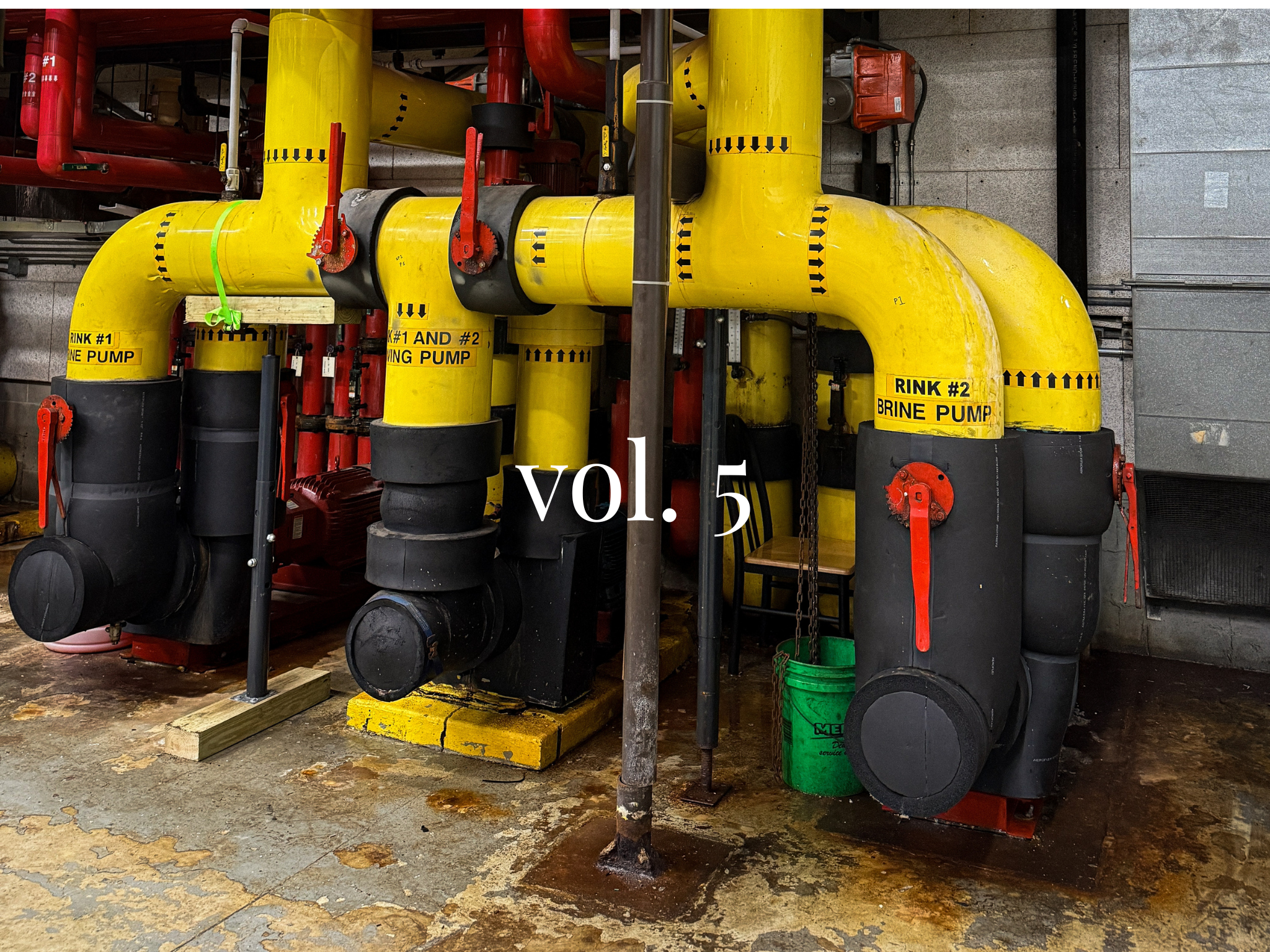 NEWSLETTER vol. 5