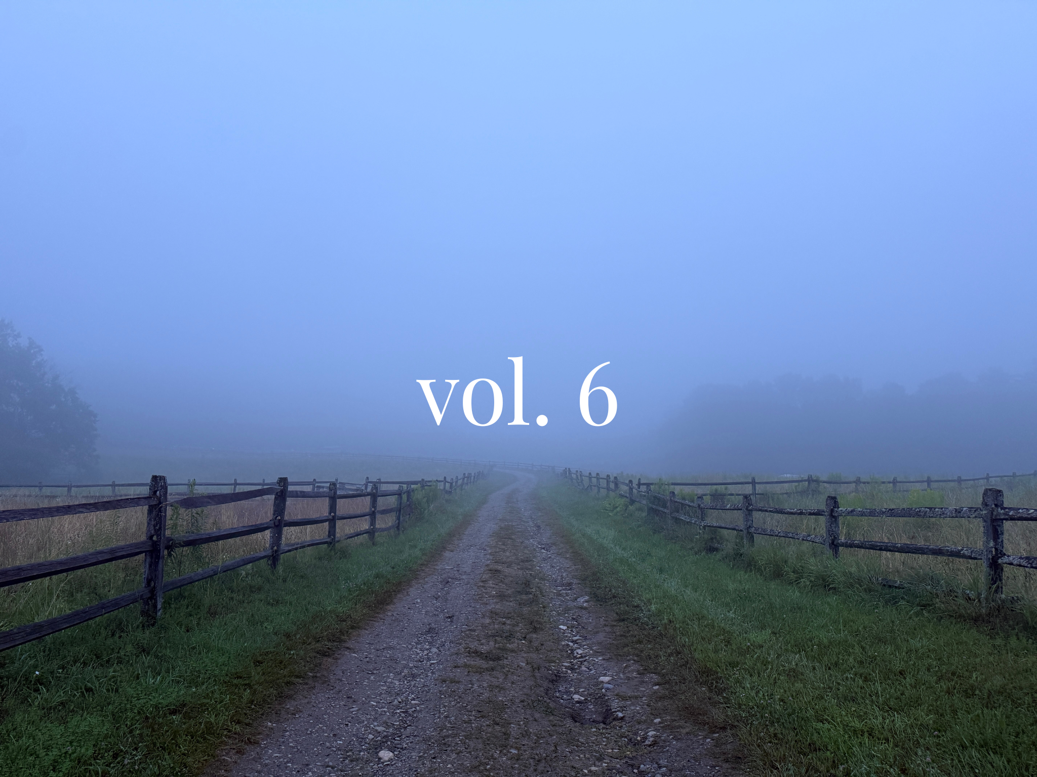 NEWSLETTER - vol. 6