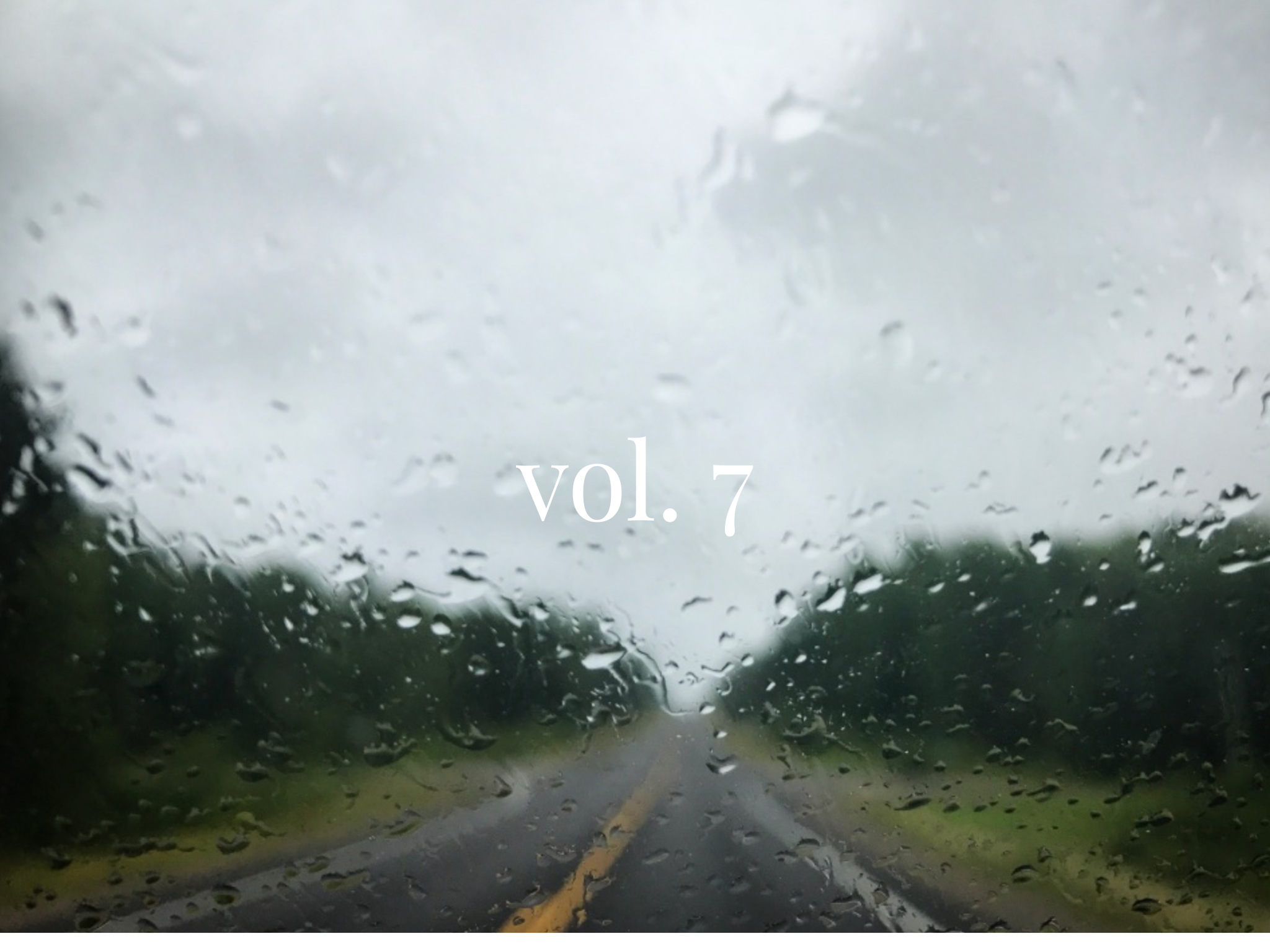 NEWSLETTER - vol. 7