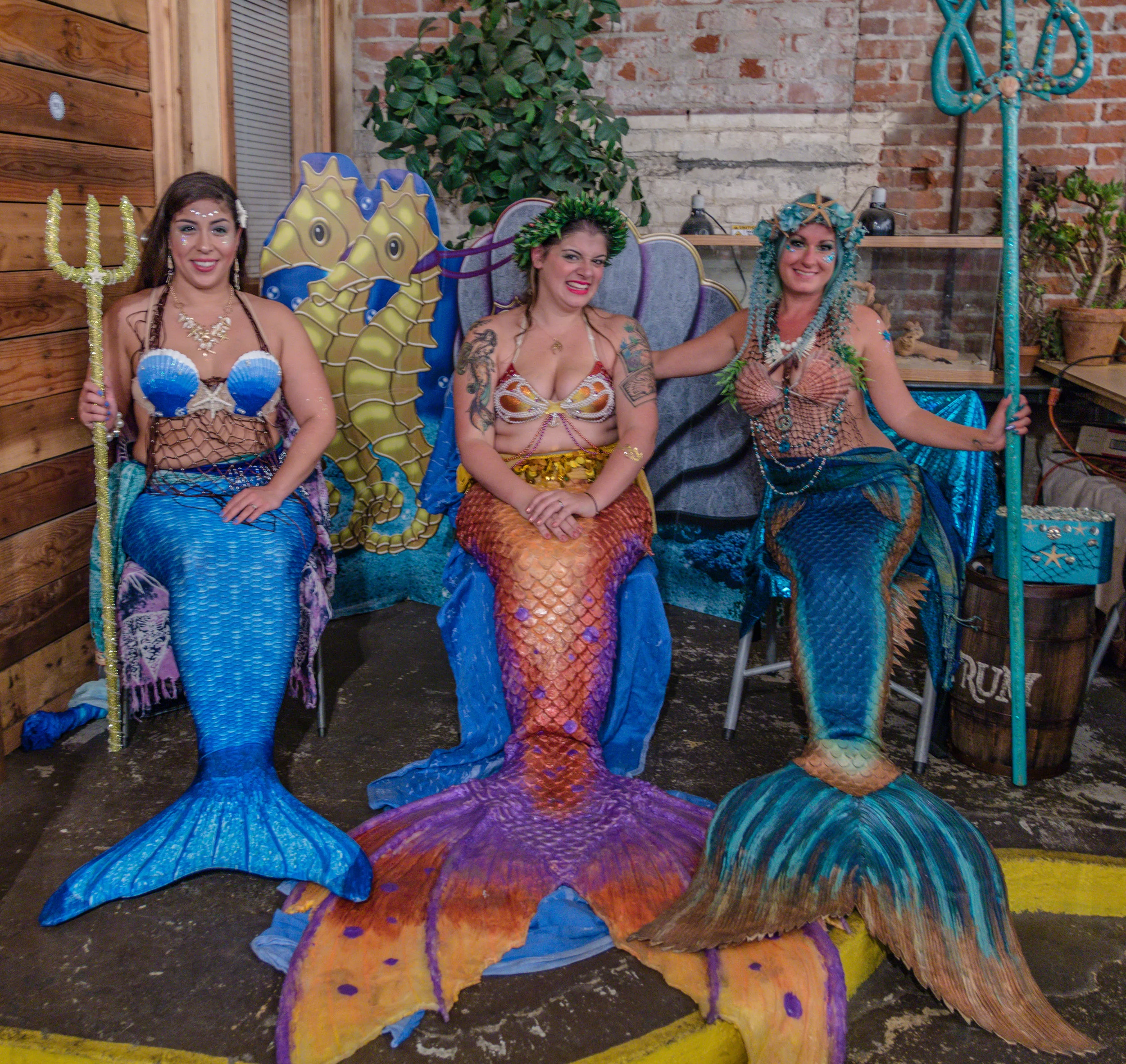 mermaid-gallery-1017.jpg
