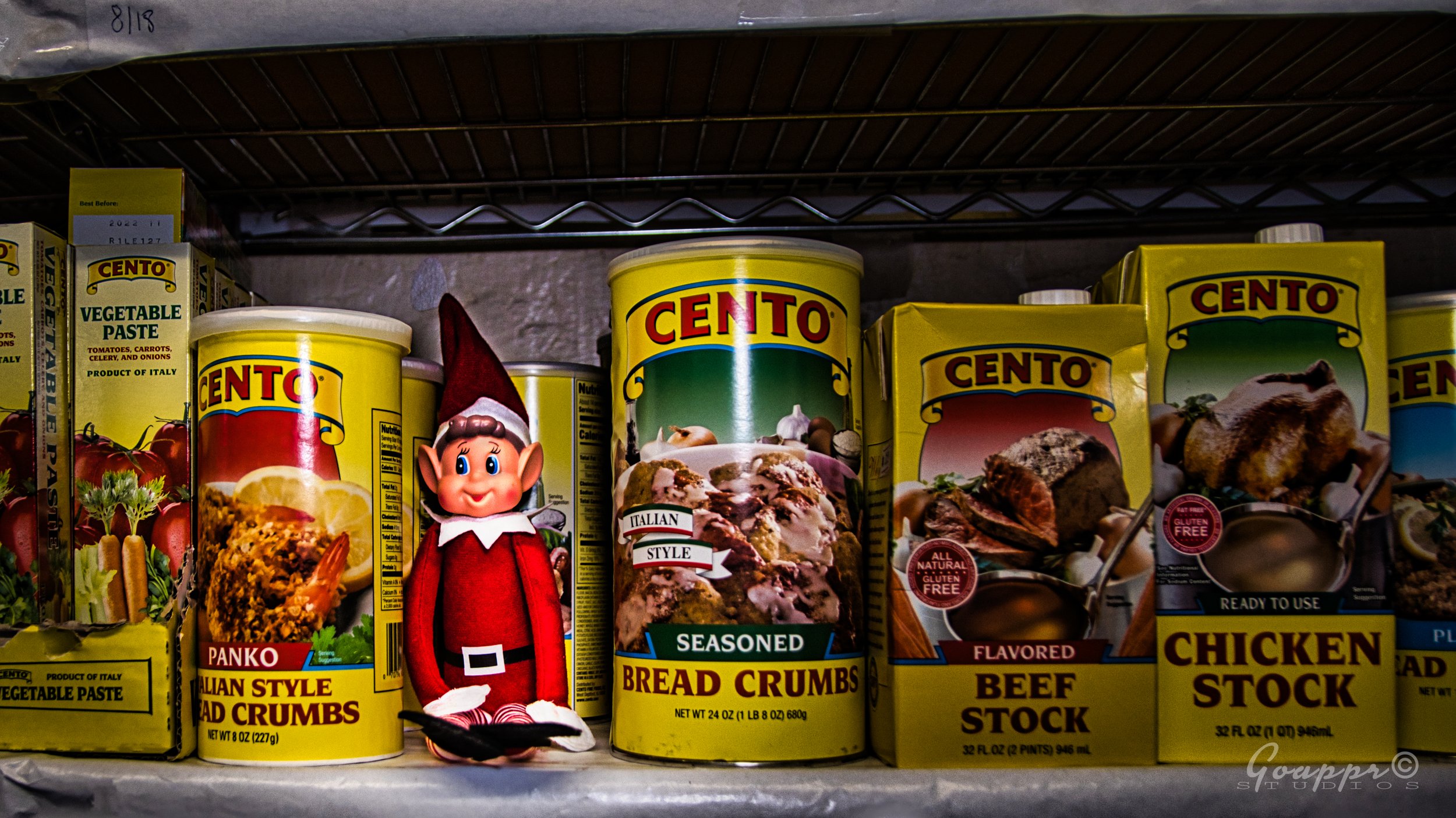 Filippi's Elf 2022 D.JPG