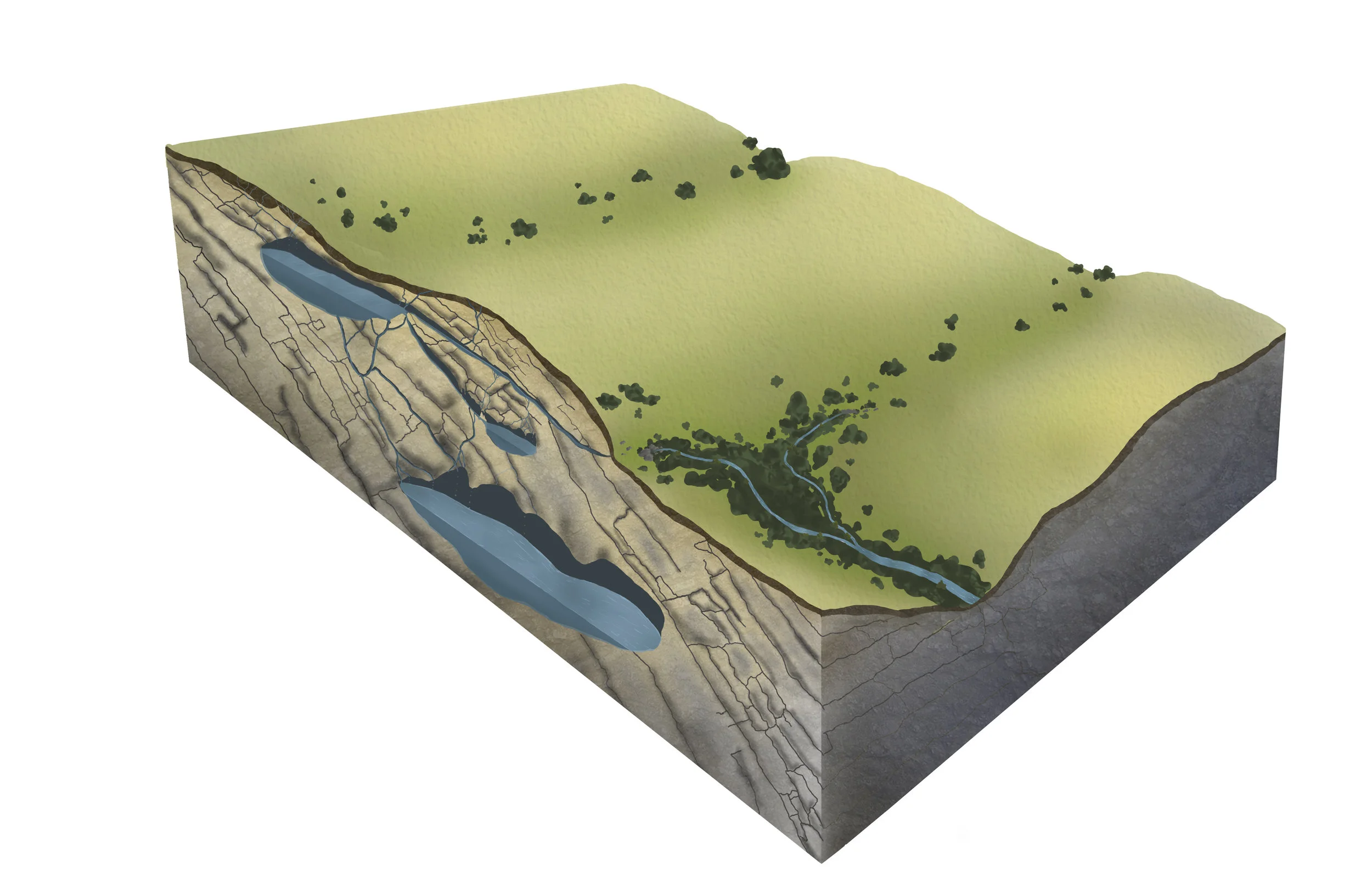 Limestone/Karst cutaway Illustration
