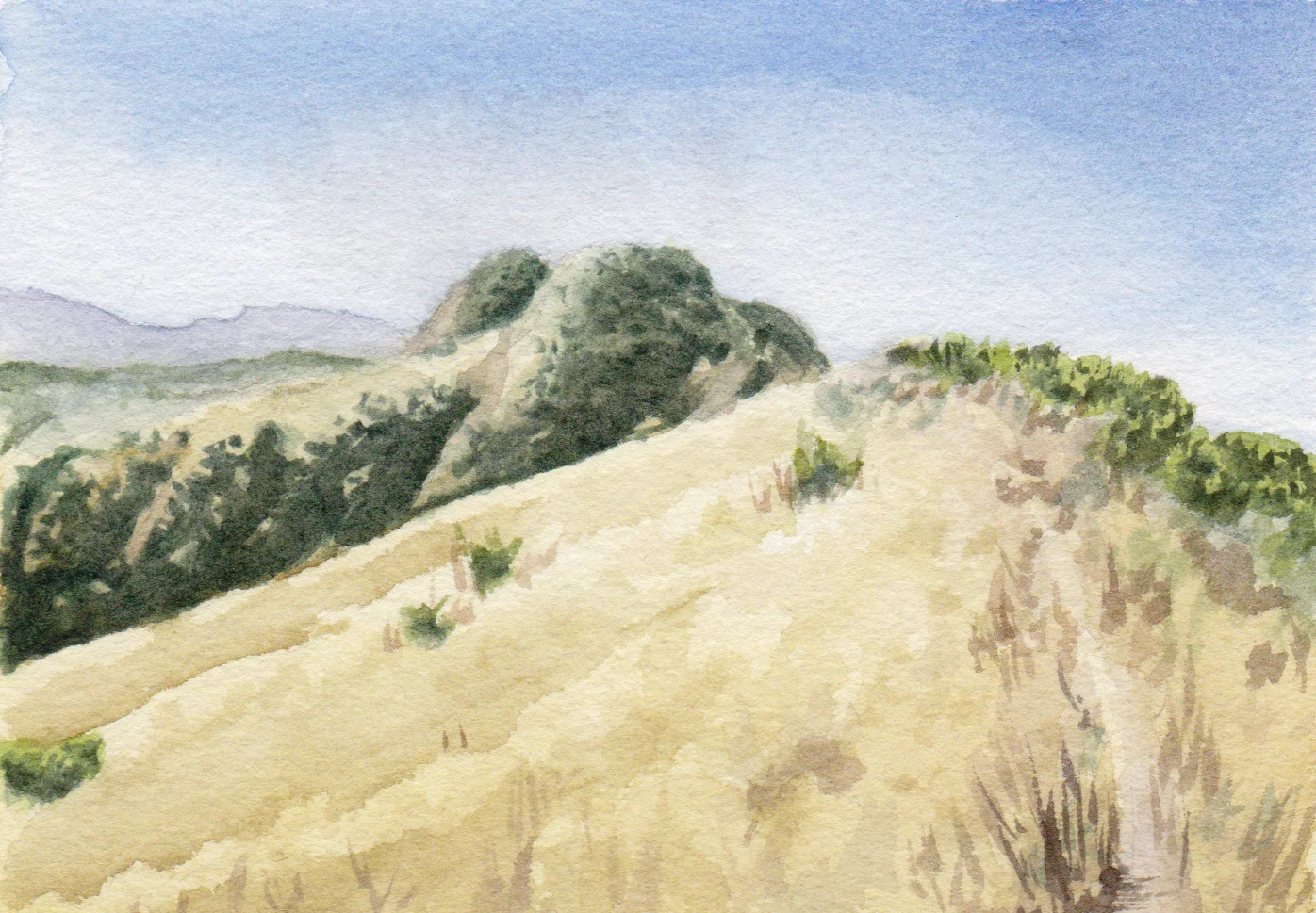 13 November 2017 | Snively's Ridge (Garland Park, Carmel Valley, CA)