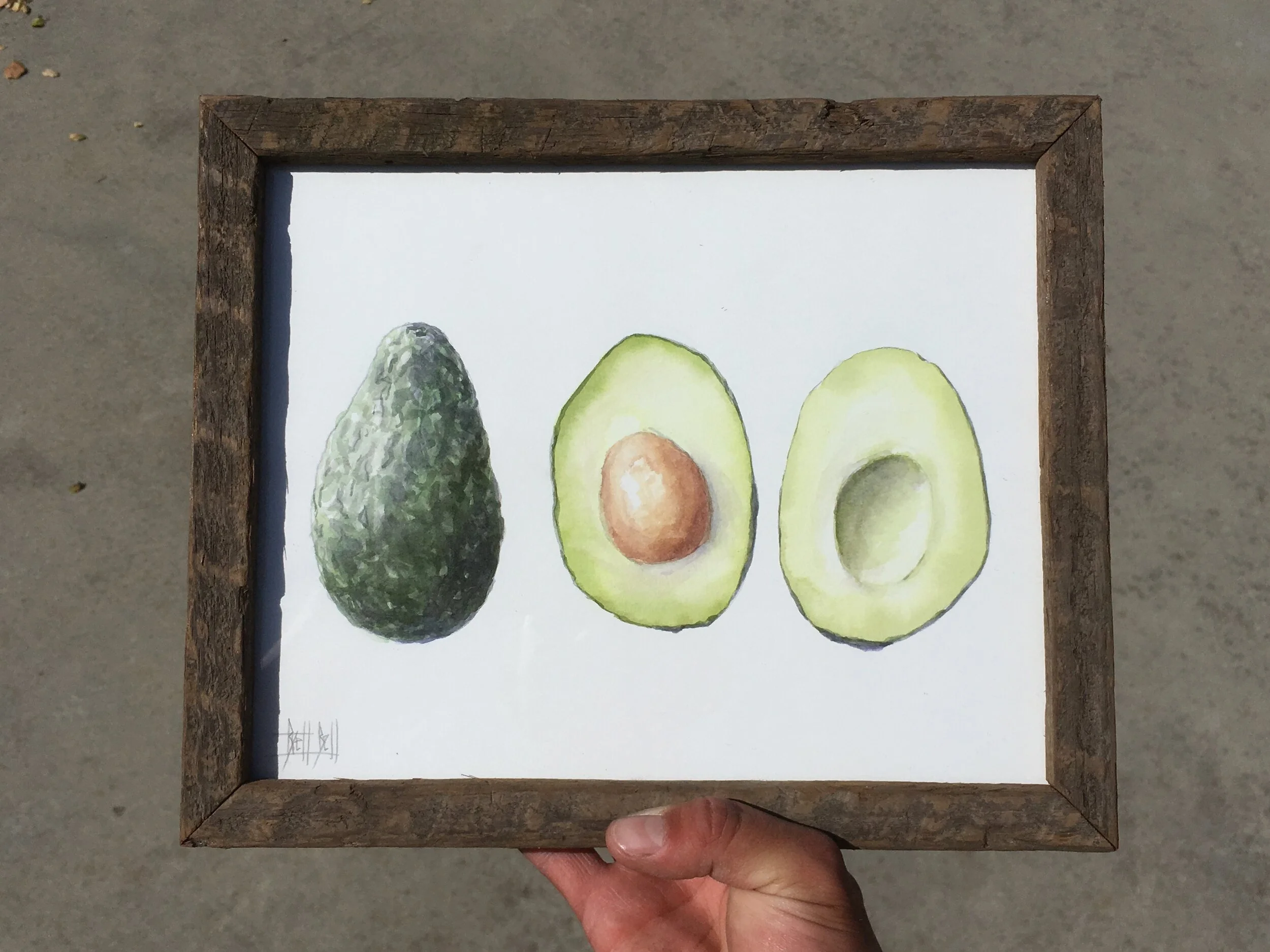 Avocados (watercolor)