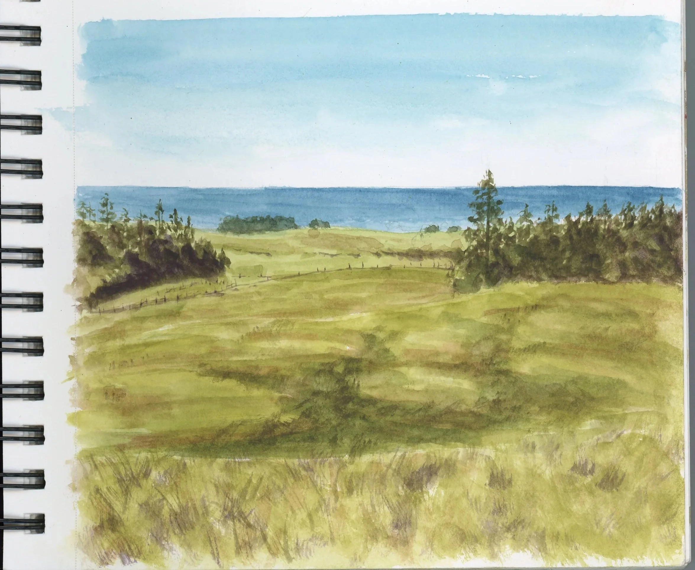 mima meadow plein air | 04 February 2026