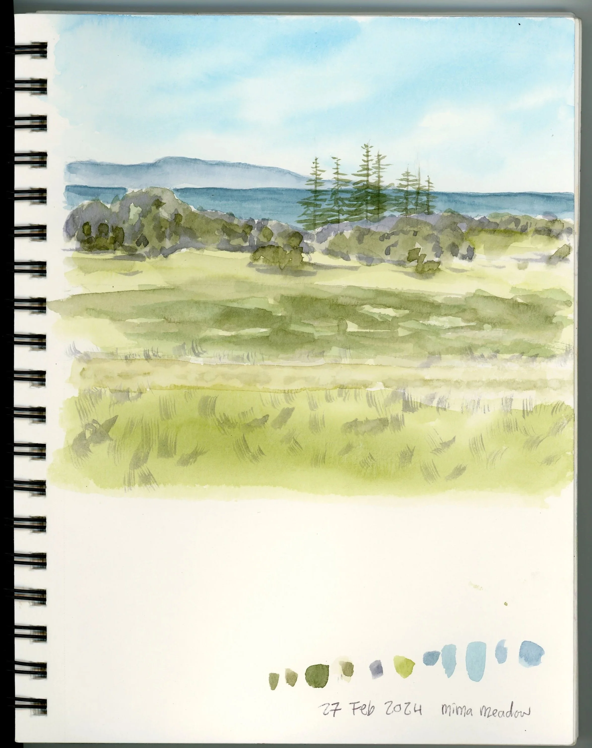 Mima Meadow | 27 February 2024