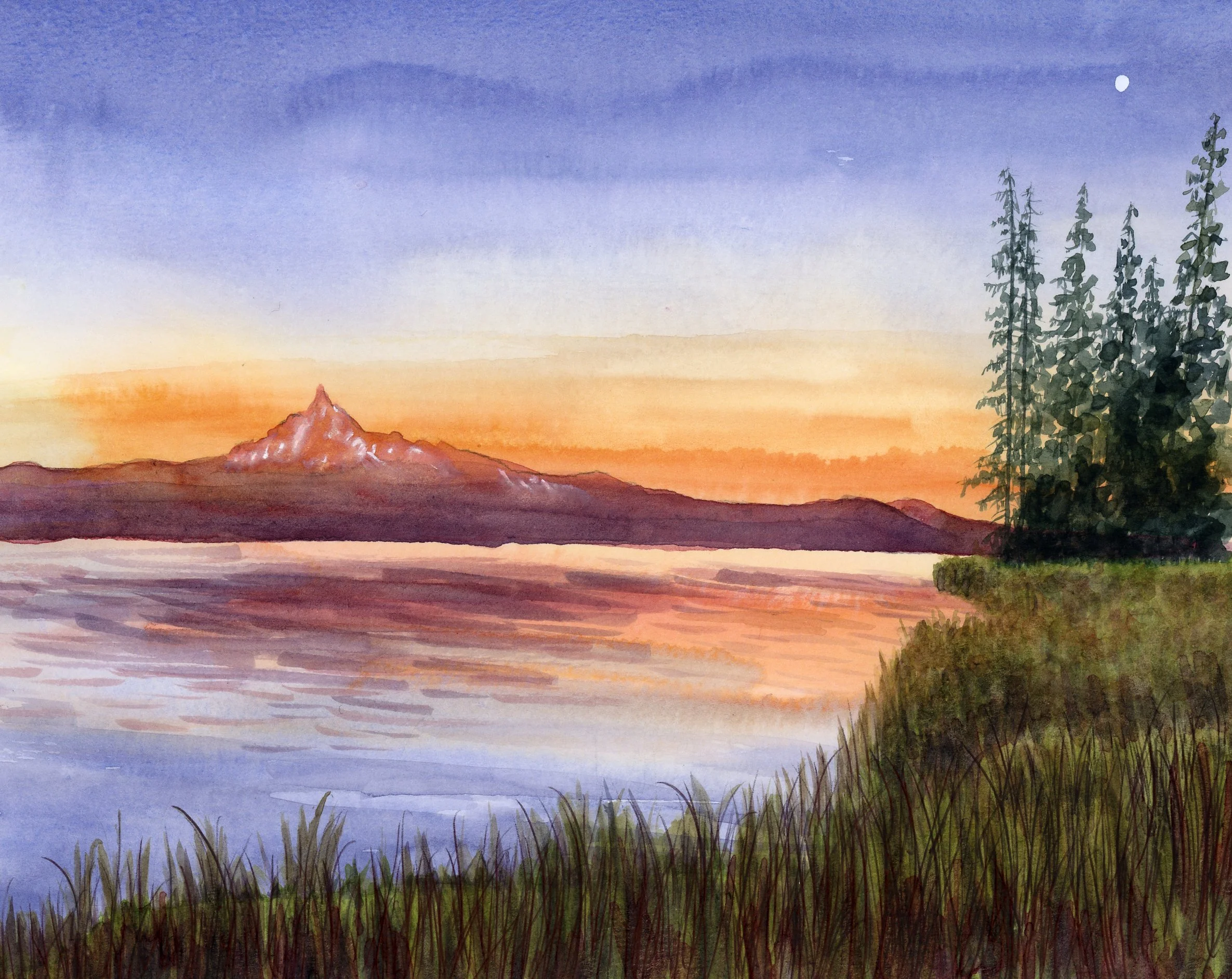 230629_Thielsen_View.jpg