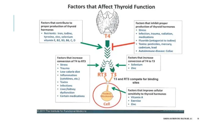 Slide10.jpg