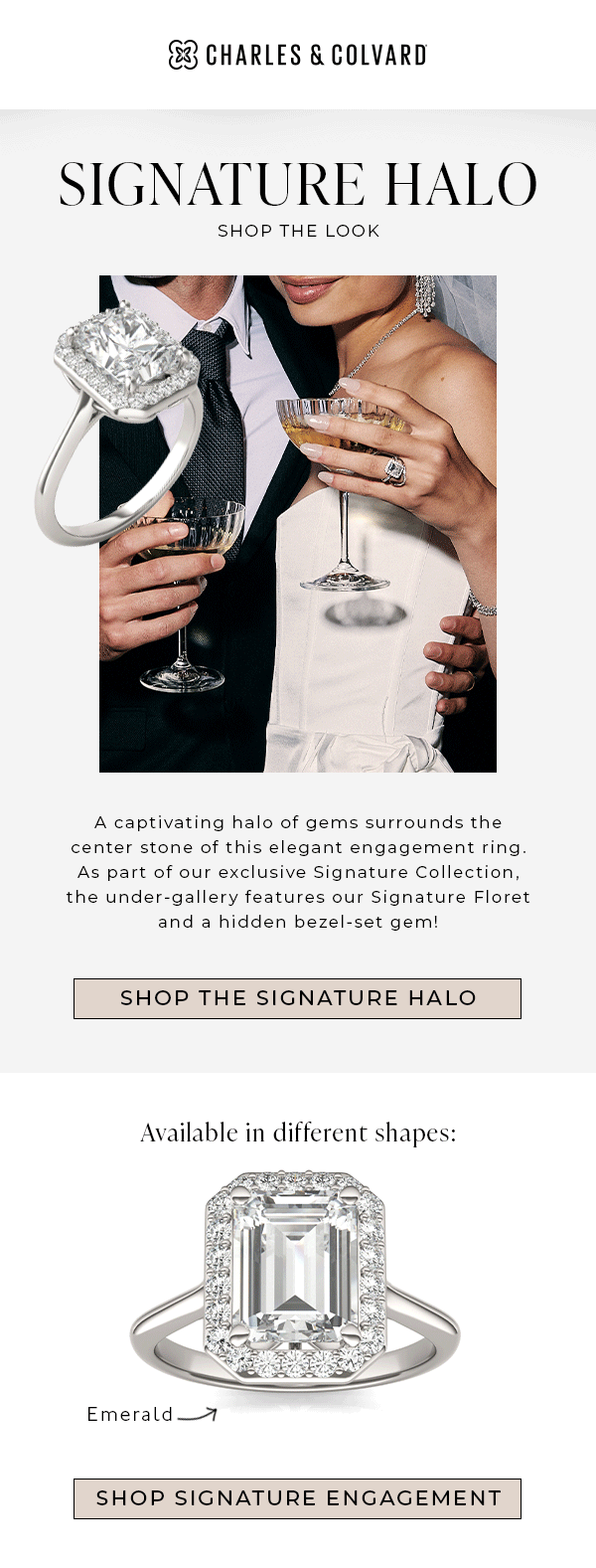 20240817_SignatureHalo.gif