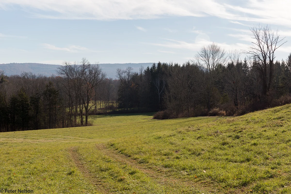 Conservation Profile: Harry Hansen