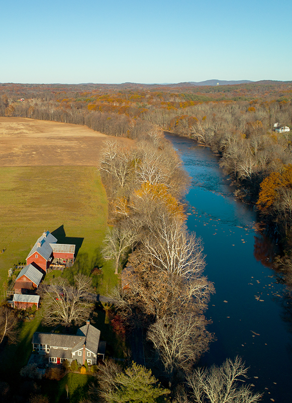 RELC_CrestedHen_DJI_0022c.jpg
