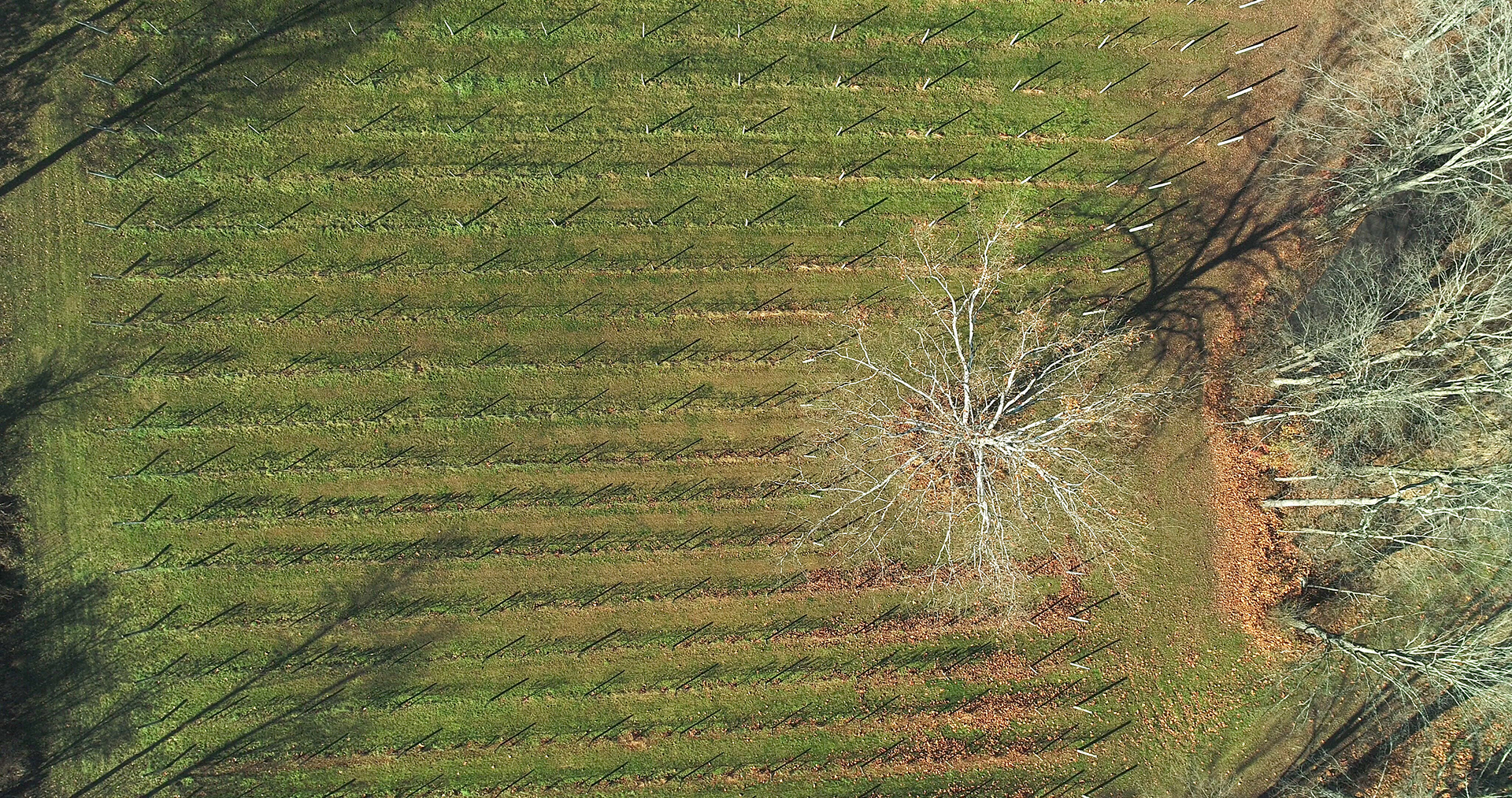 RELC_RestPlaus_DJI_0048e.jpg