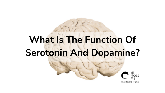1 blog Serotonin And Dopamine.png