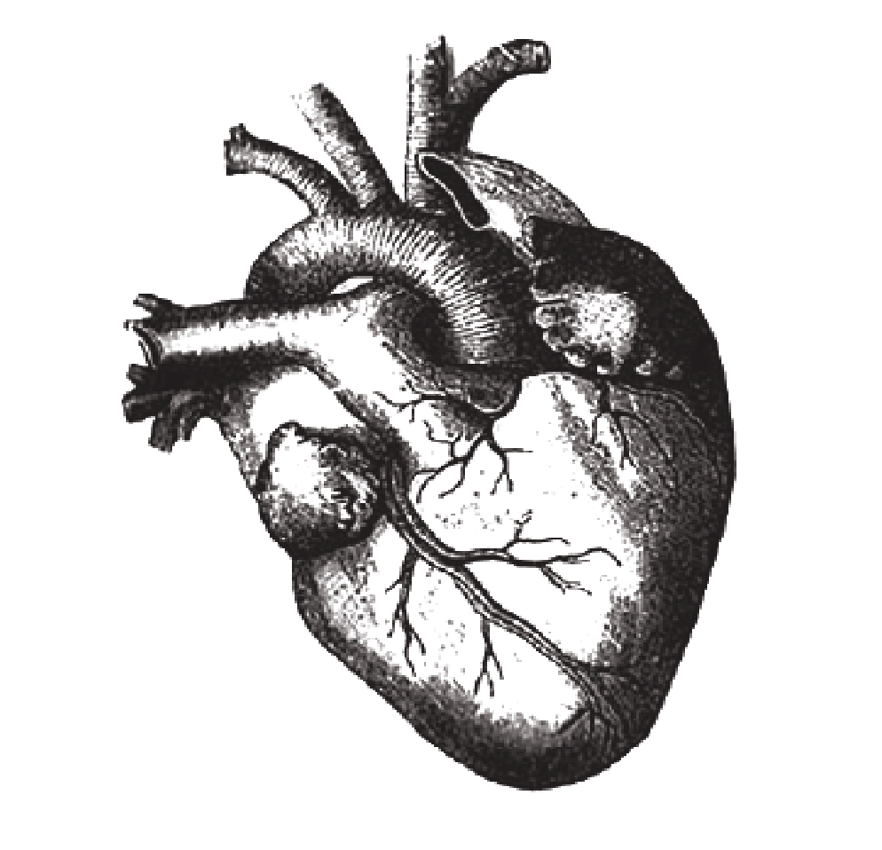 260B_Casestudy_092419_web-22.png