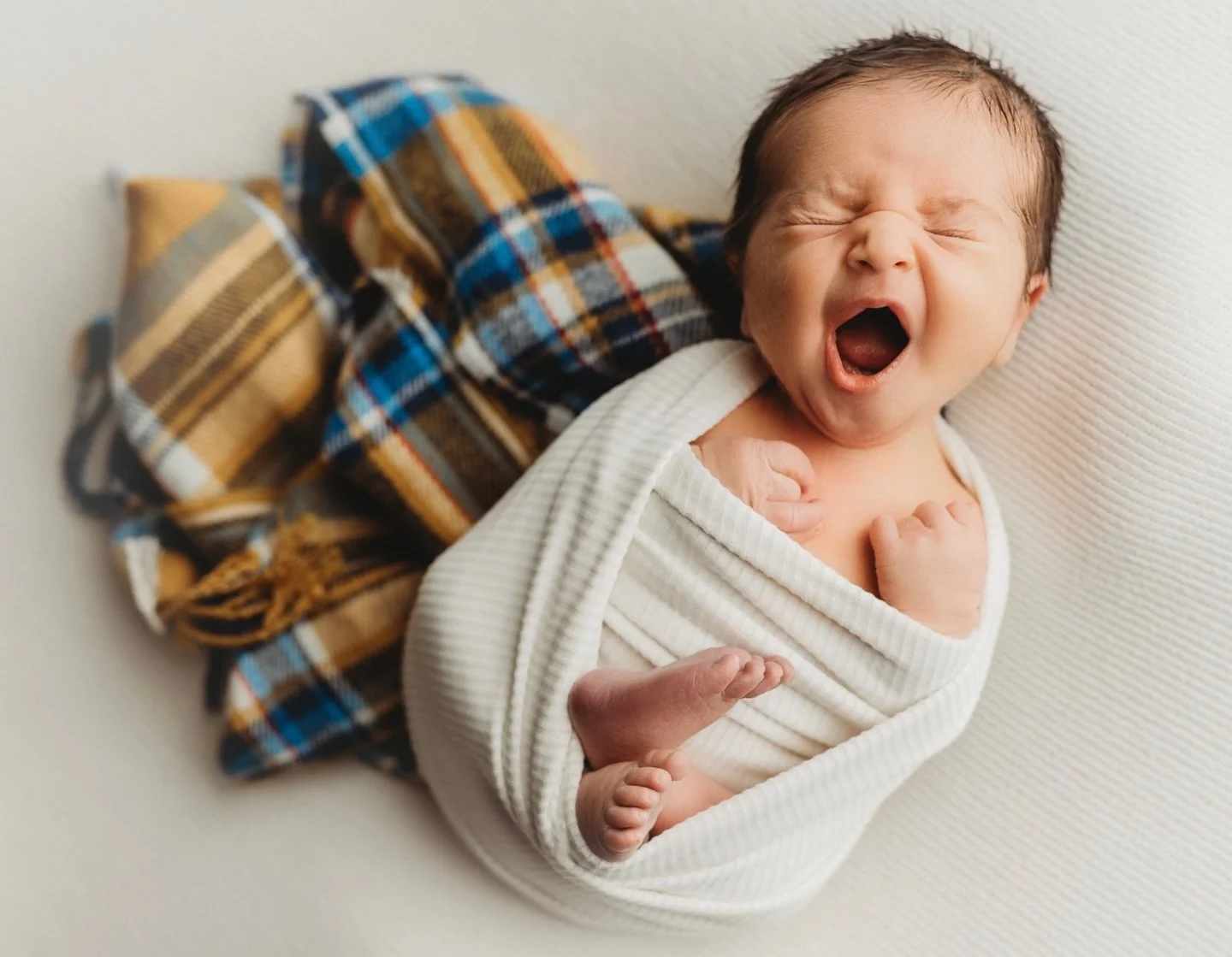 Good morning !! It&rsquo;s already halfway through the work week then a holiday weekend!
YOU CAN DO IT!!