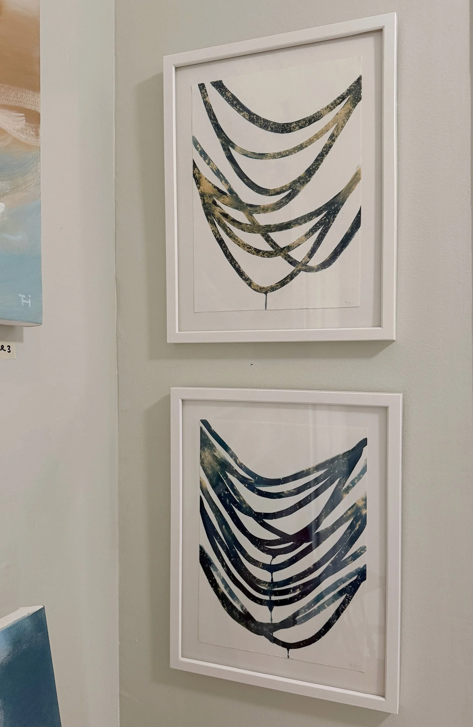 cyanotypes, frame size 20x16