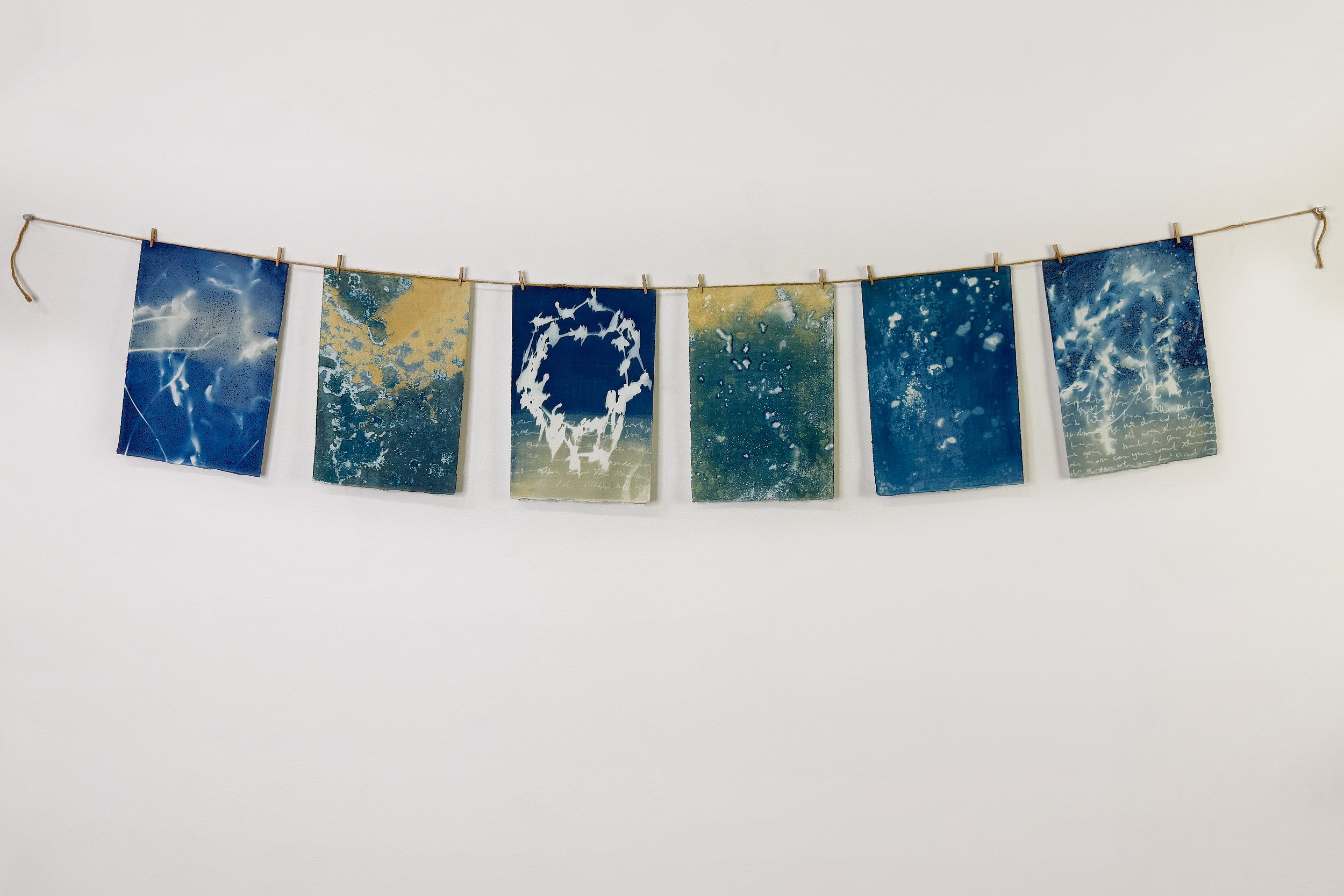COASTAL DIARY