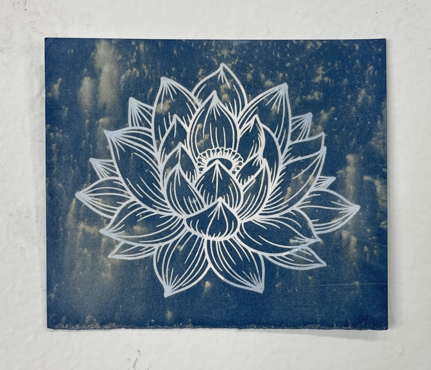 bluelotus_4x4f.jpg
