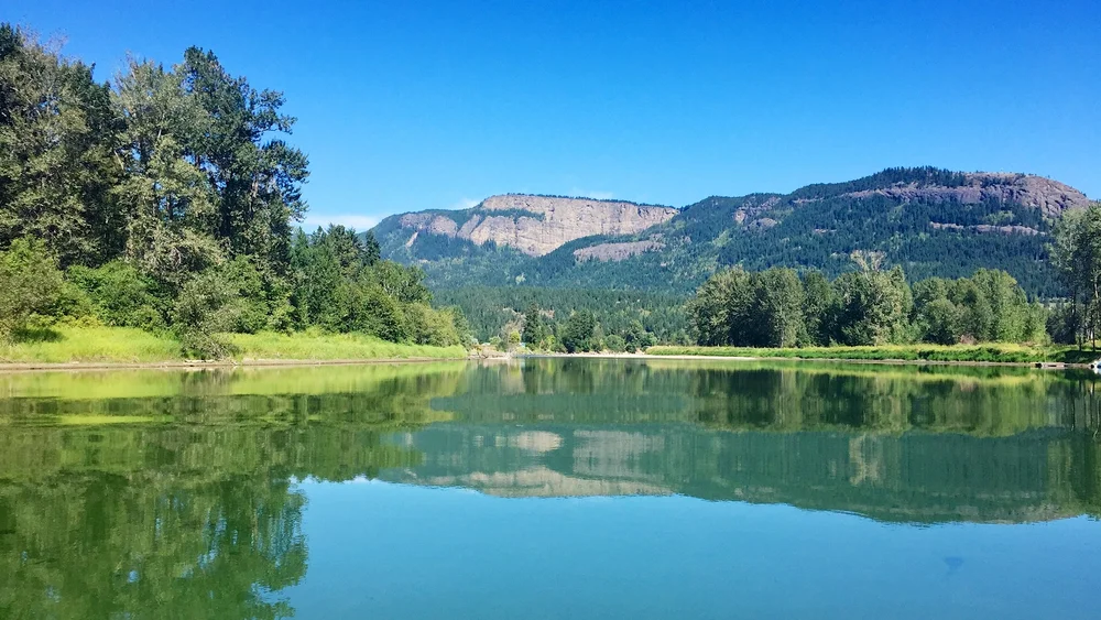 NEW Enderby — Askew's