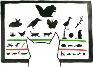  Does Your Pet Need an Eye Doctor? New York Times