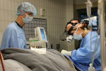  Hawaiian monk seals at Minnesota Zoo undergo successful eye surgery