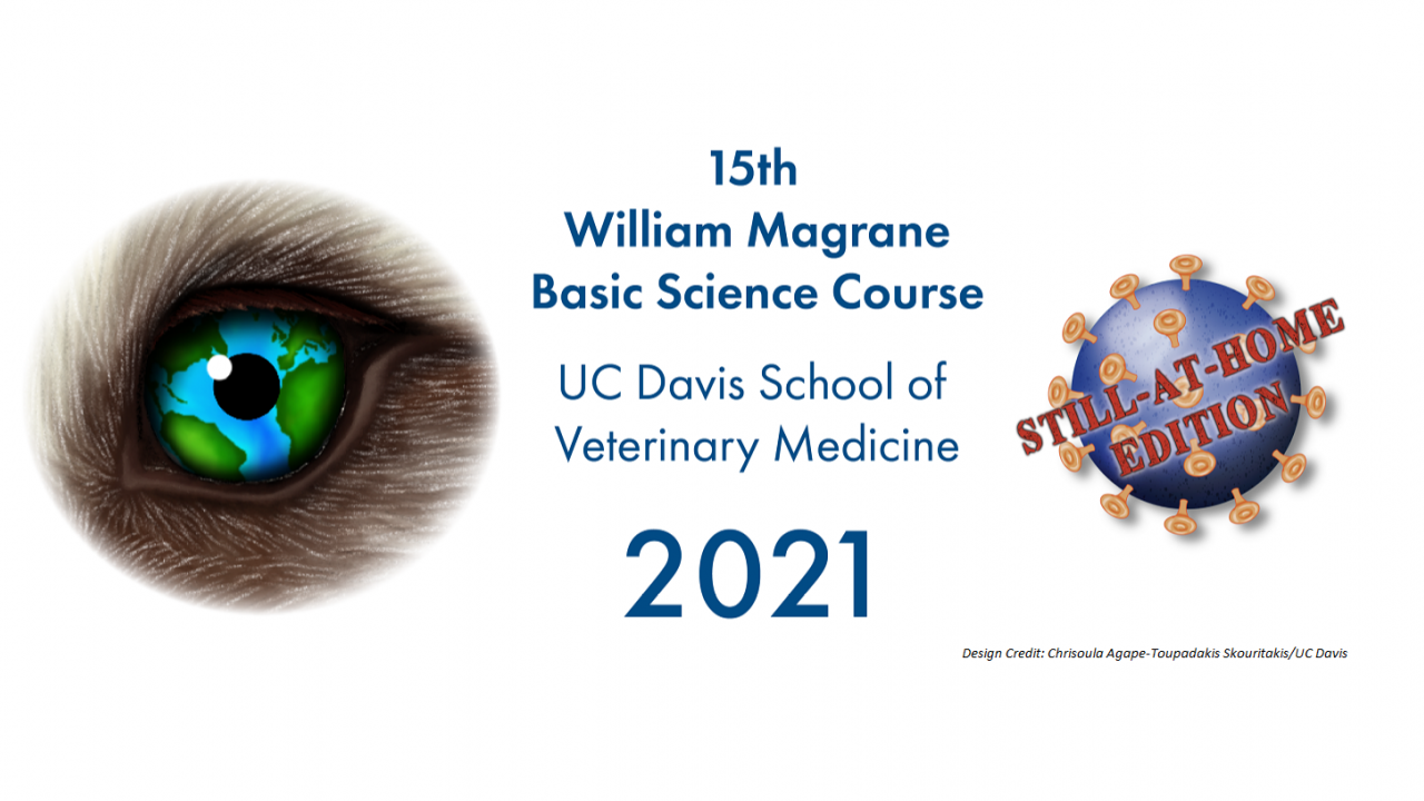 2021 ACVO Basic Science Course Registration Now Open!