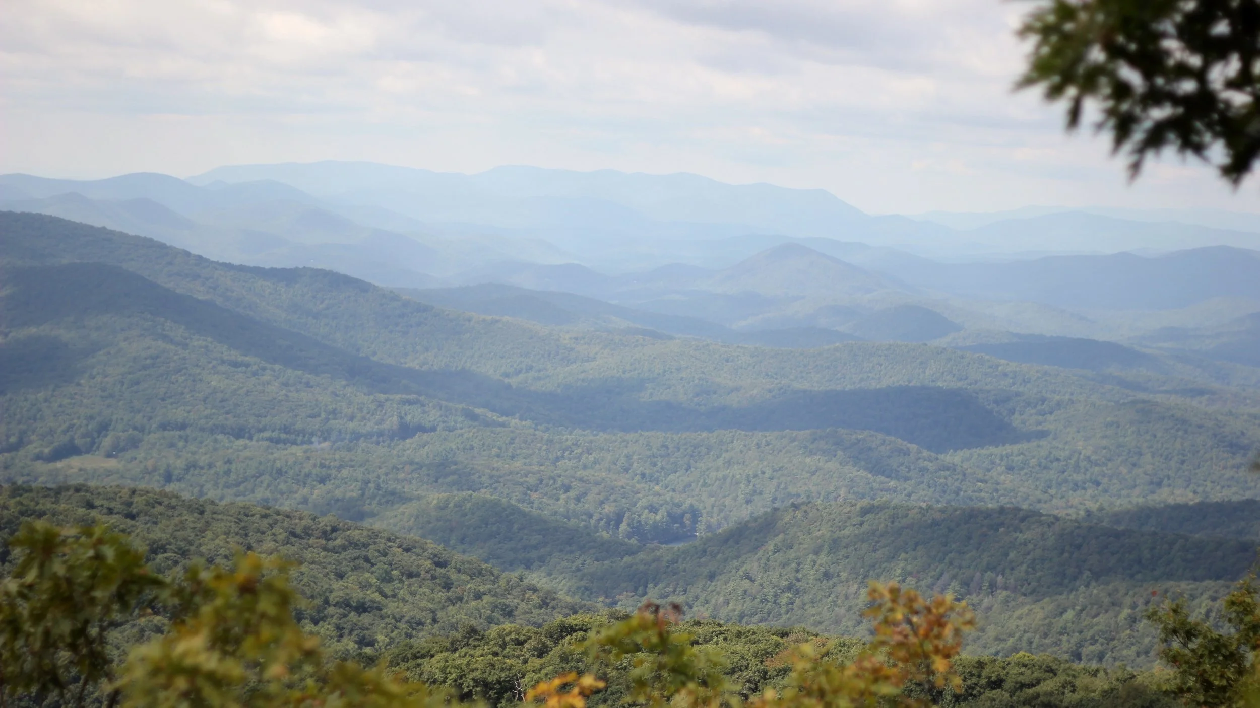 IMG_4482 - Version 2.JPG