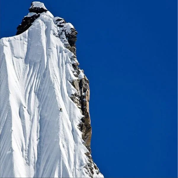 tgr2.jpg