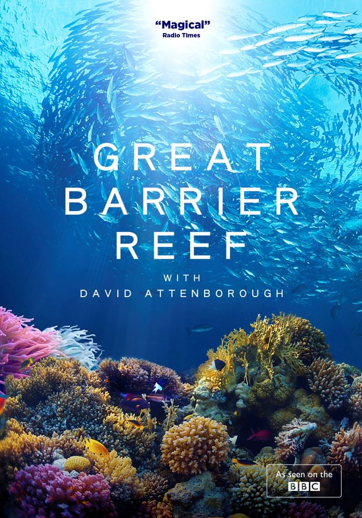 greatbarrierreef.jpg