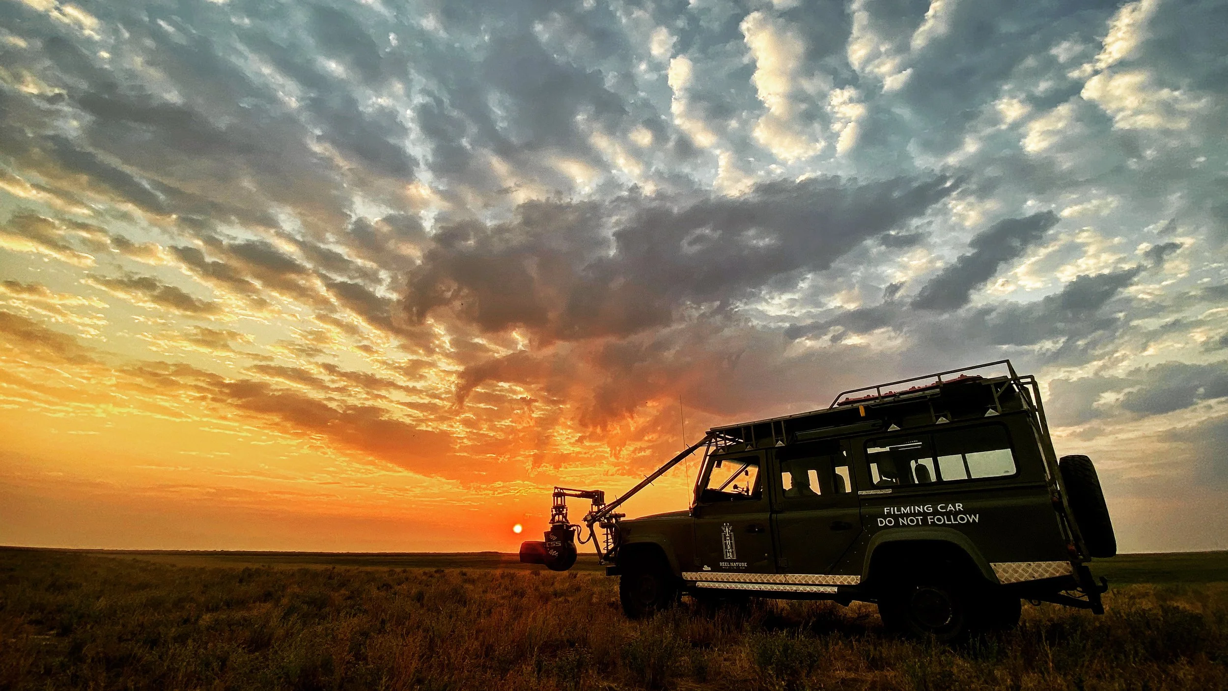 In the Field with Tom Walker (&amp; Hyenas)