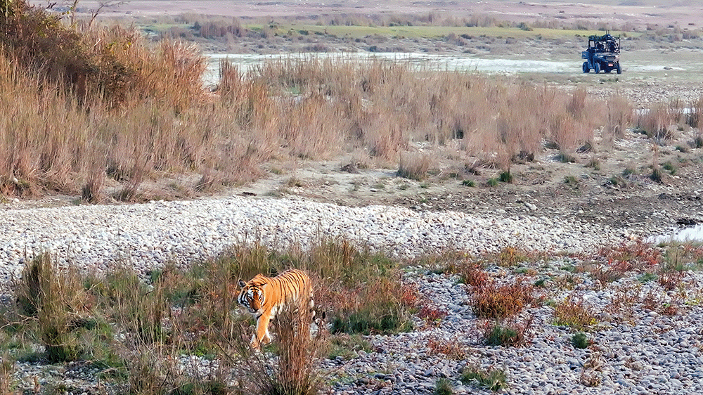 Tiger_Island_Episode_01_023_Screengrab.png