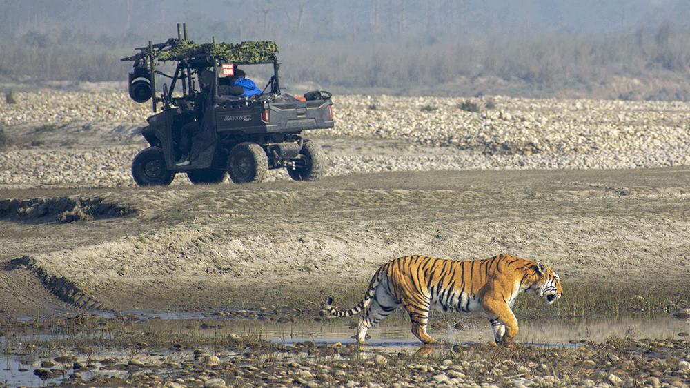 Tiger_Island_Episode_01_014_BTS.png