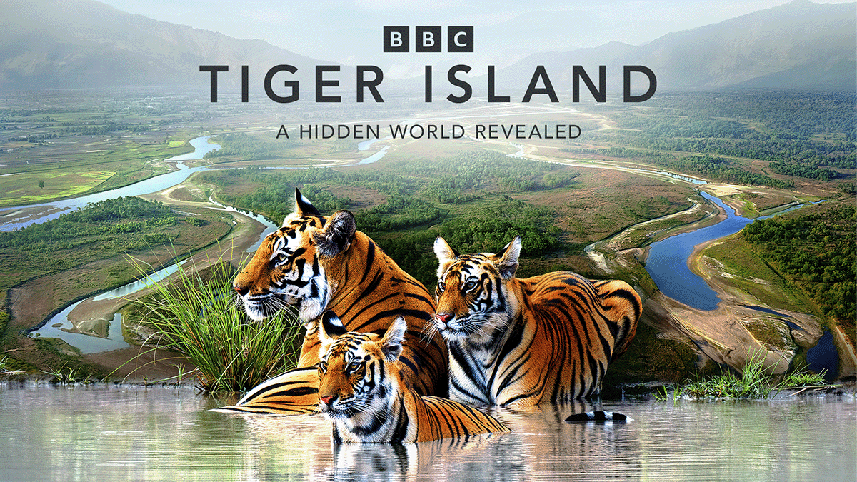 Shooting “Tiger Island”
