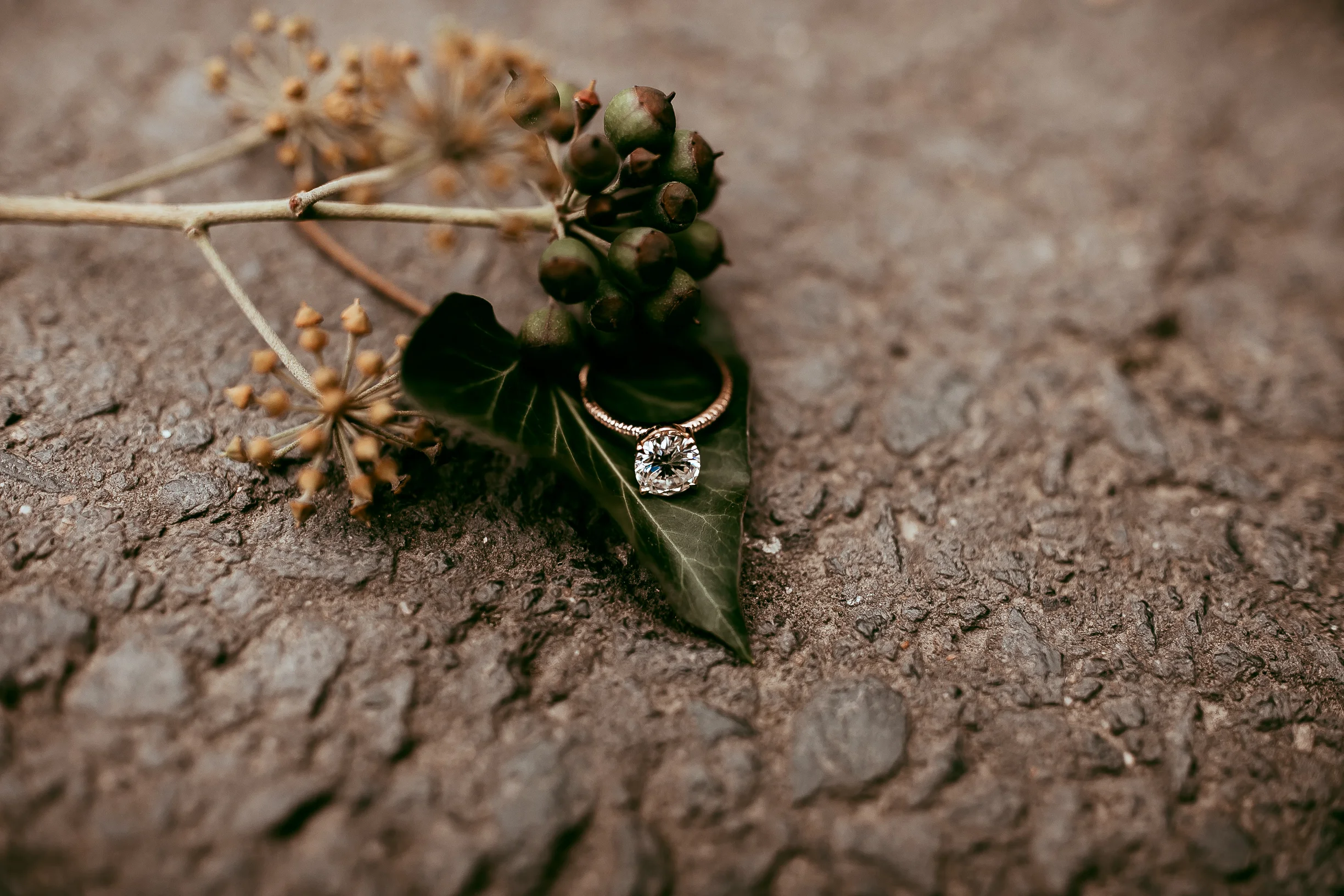 980A6335-Edit.jpg