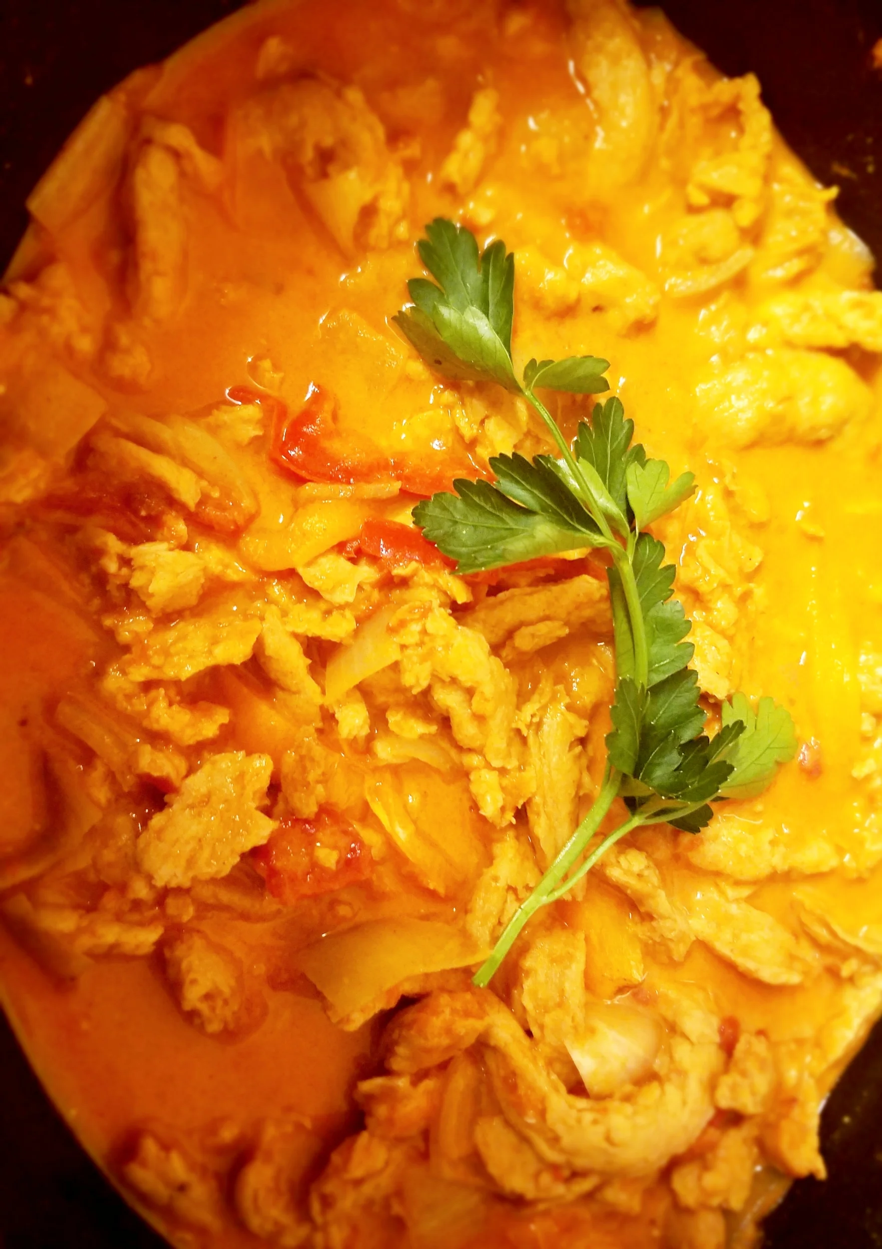 Yum! Soy Curl Paprikash!