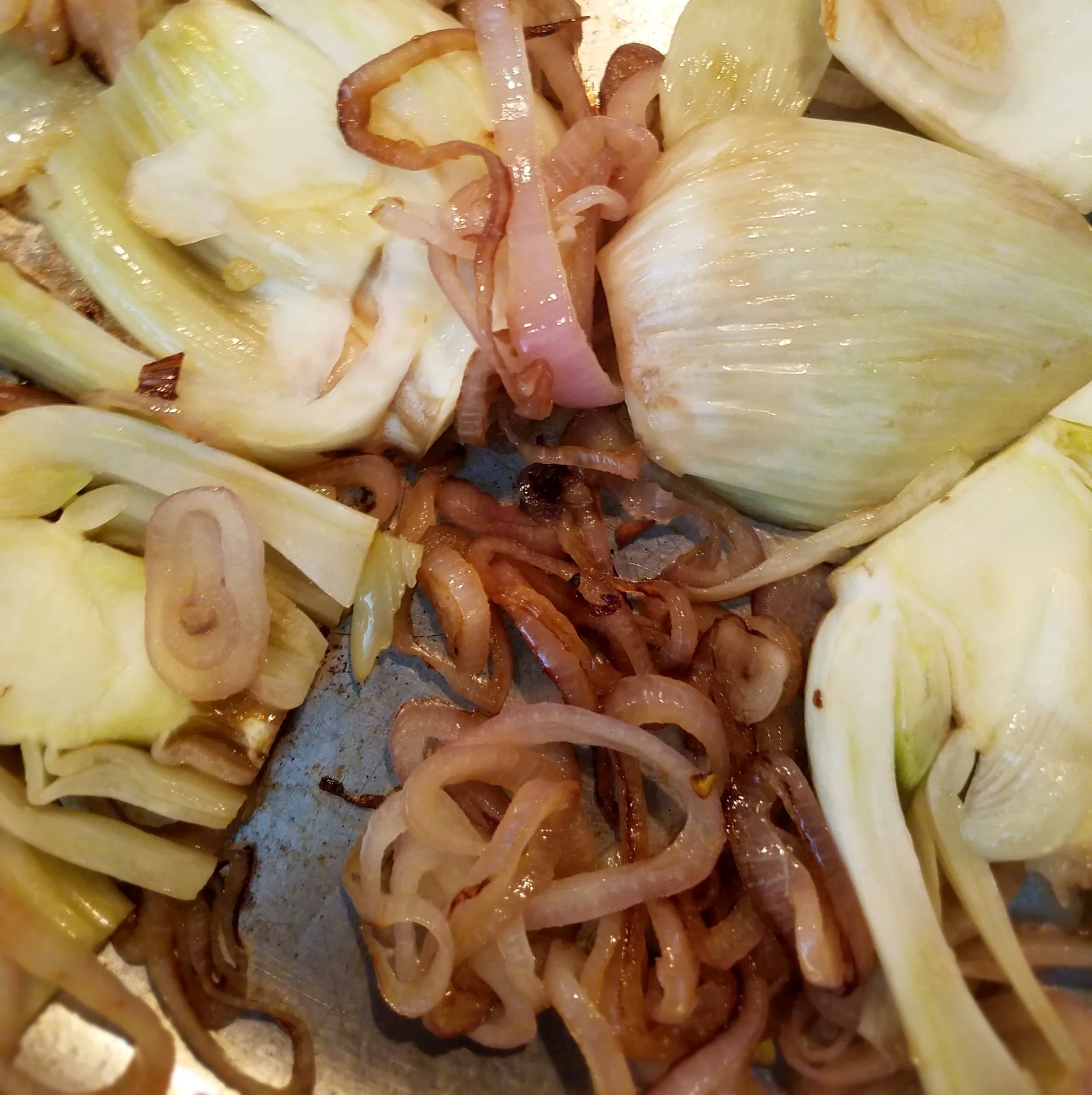 Shallots and Fennel.jpg