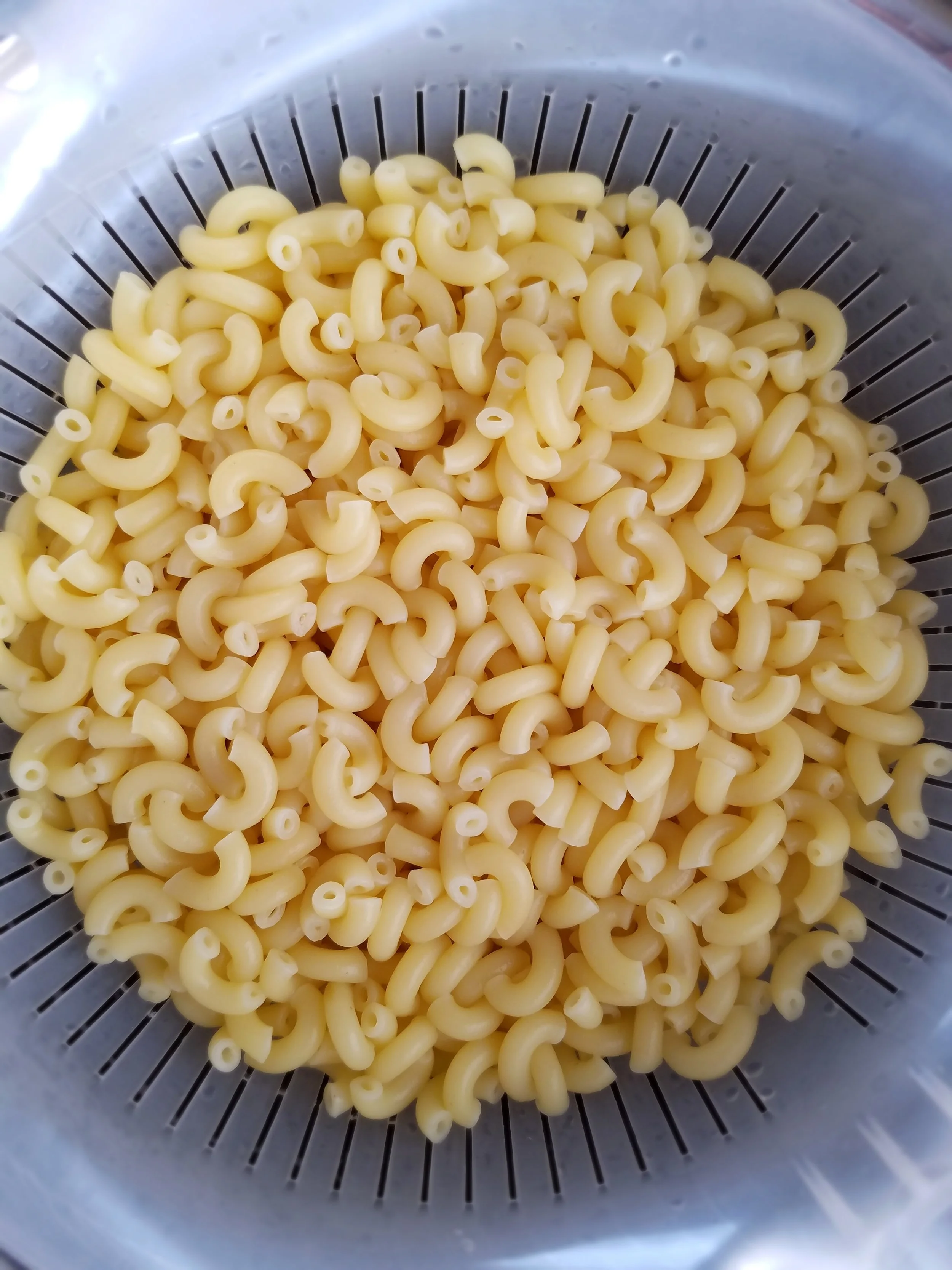 Elbow Macaroni.jpg
