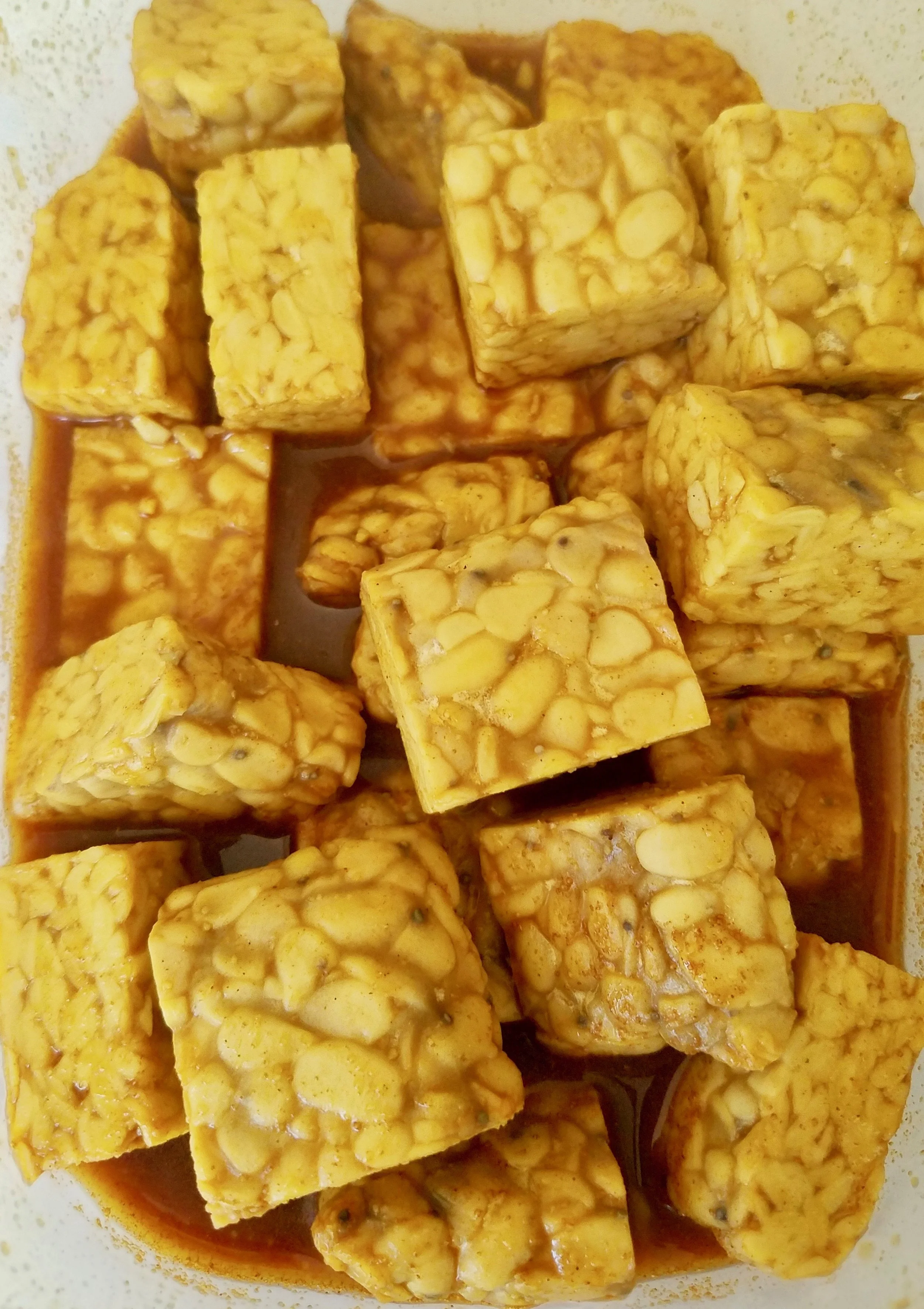 Grilled Pomegranate Molasses Tempeh.jpeg